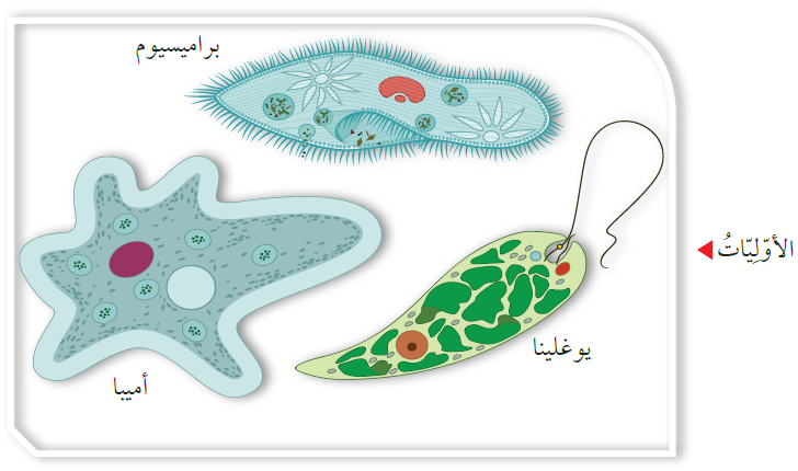 بحث عن الطلائعيات