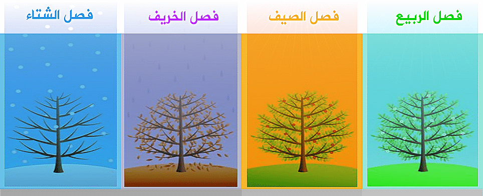 ترتيب الفصول الاربعة وكيف تتعاقب المواسم