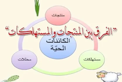 اي من العبارات الاتيه صحيح فيما يخص الكائنات الحيه المنتجه