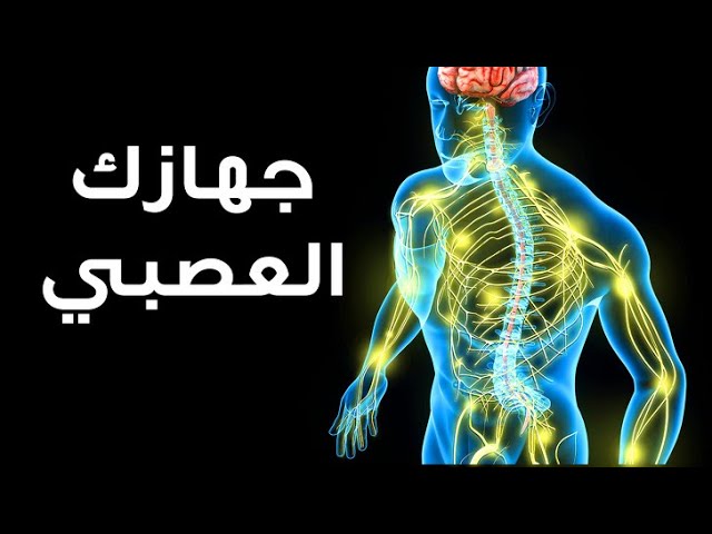 بحث عن الجهاز العصبي وكيفية الحفاظ عليه