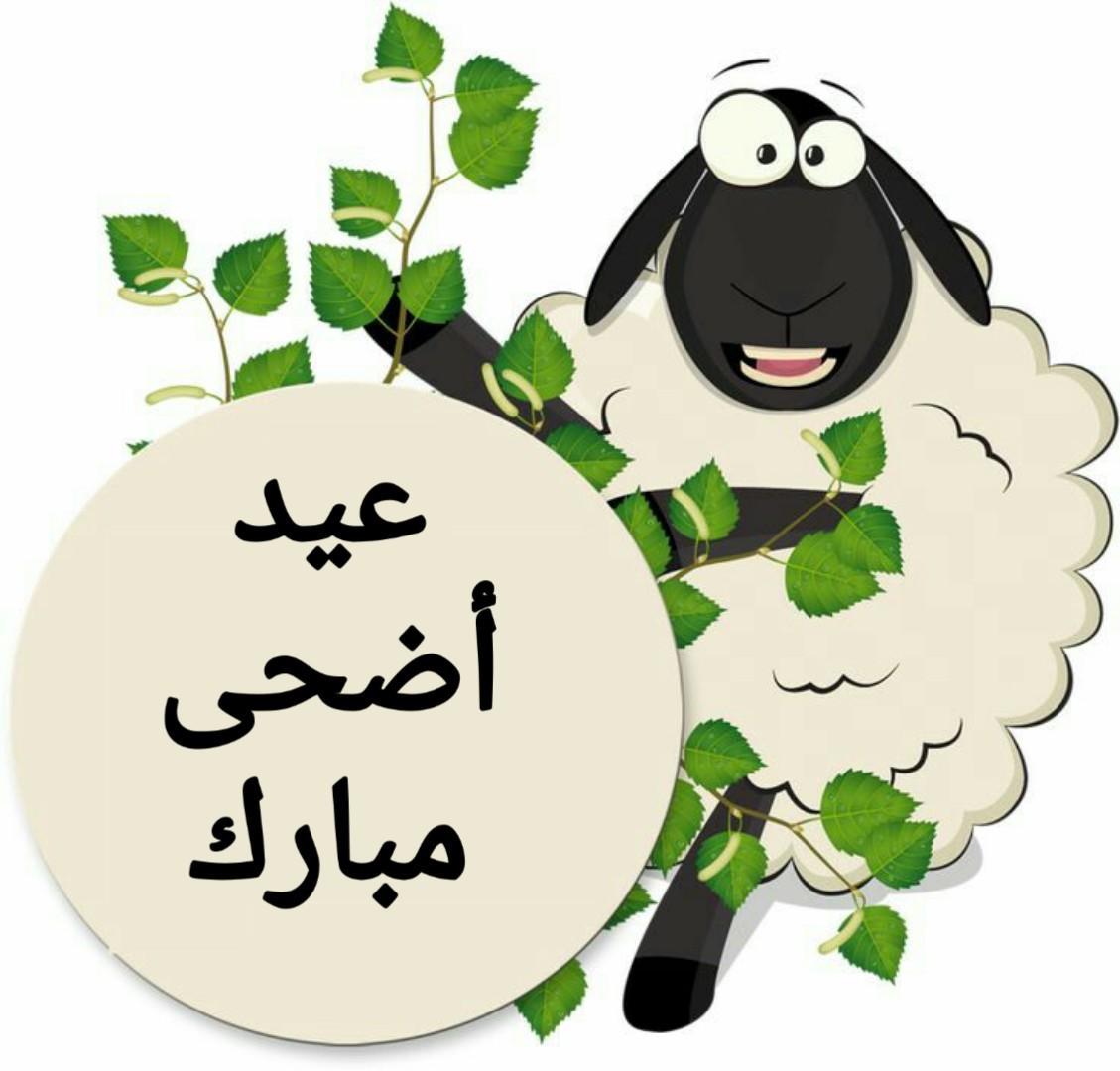 رسائل تهنئة بعيد الاضحى