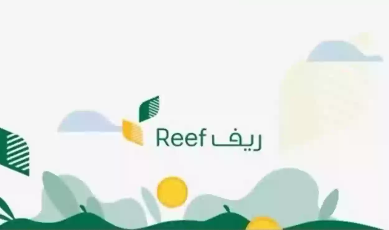 شروط دعم ريف للأسر المنتجة وبرامج الدعم المتاحة