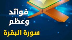 تجربتي مع قراءة سورة البقرة مرتين يوميا